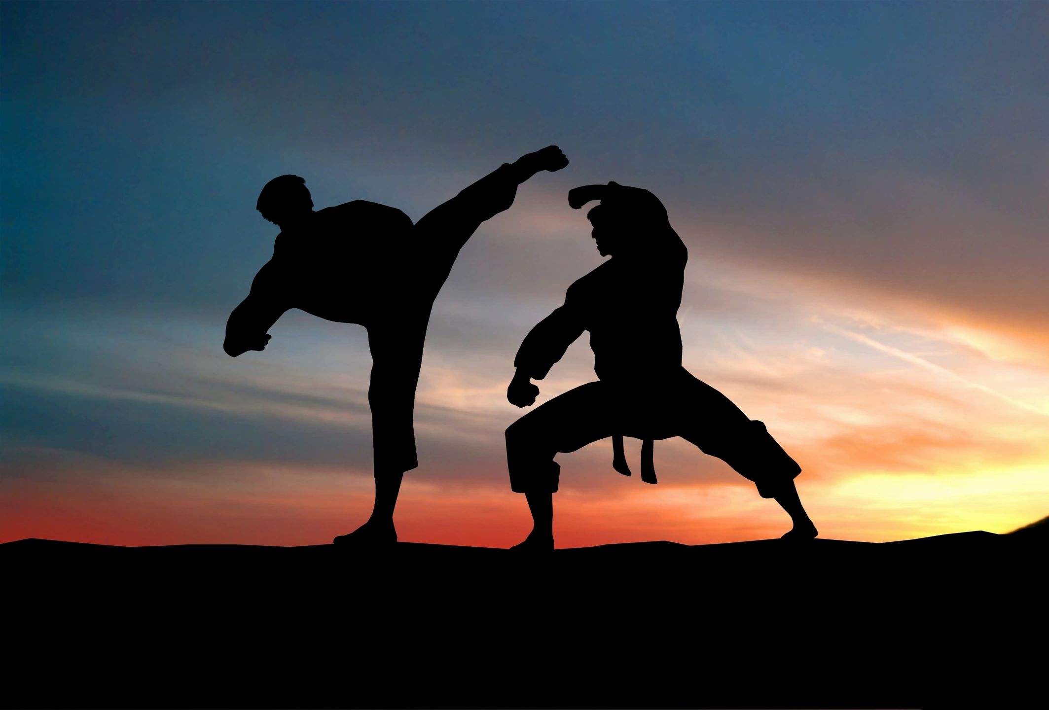 Artes Marciales México